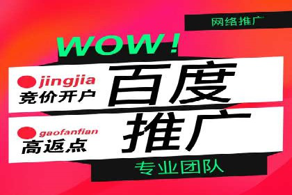 竞价账户代运营，提升广告效果实战案例